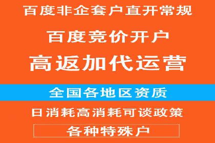 探索百度推广托管的奥秘：成功案例揭秘
